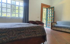Ollin Calli Hostal-Temazcal